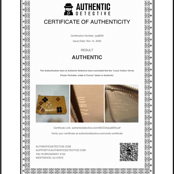 Louis Vuitton Pochette LV Pochette– Limited Edition – Authentic w/ COA - Picture 10 of 11